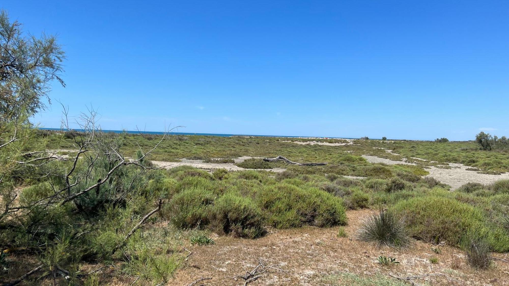 Résidence L’Oiseau des Sables Saintes-Maries-de-la-Mer Exterior foto
